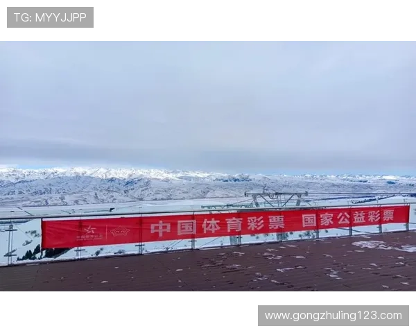 新球体育引领全民运动新风潮